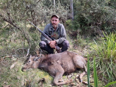 Steve Hall - Sambar Deer Success Story