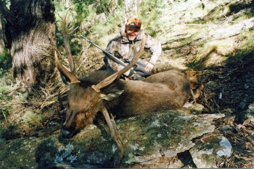 Chris Kinsella - Sambar Deer Success Story