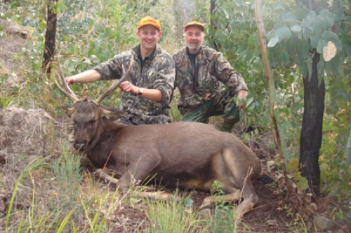 John Bruce - Sambar Deer Success Story