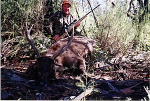 Mark Rohde  - Sambar Deer Success Story