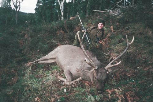Chris Kinsella - Sambar Deer Success Story