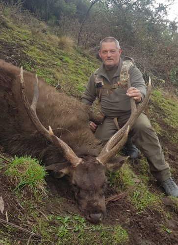 Andrew Winwood - Sambar Deer Success Story