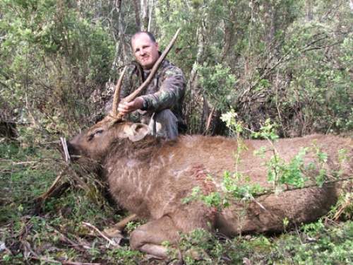 Andrew Winwood - Sambar Deer Success Story