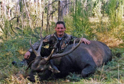 Andrew Winwood - Sambar Deer Success Story