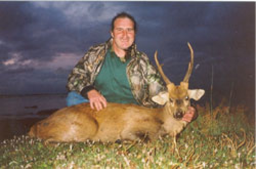 Steve Connellan - Sambar Deer Success Story