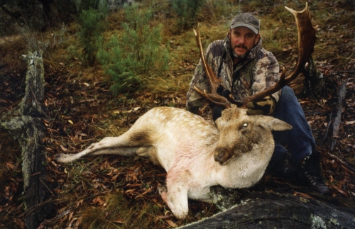 Chris Kinsella - Sambar Deer Success Story