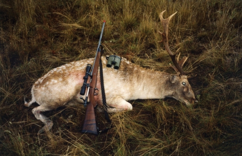 Garry Stoll - Sambar Deer Success Story