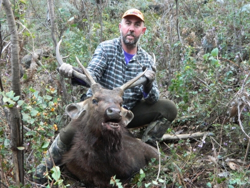 Andrew Rosser - Sambar Deer Success Story
