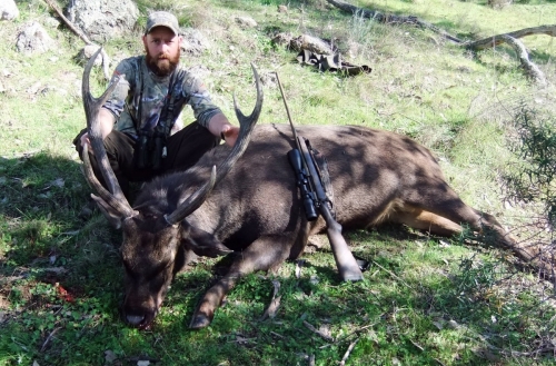 Clint Collings - Sambar Deer Success Story
