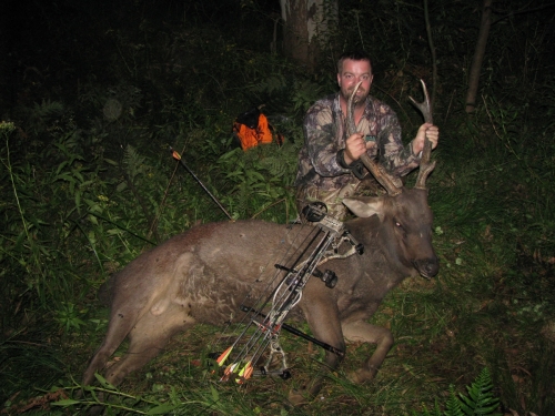 David Stewart - Sambar Deer Success Story