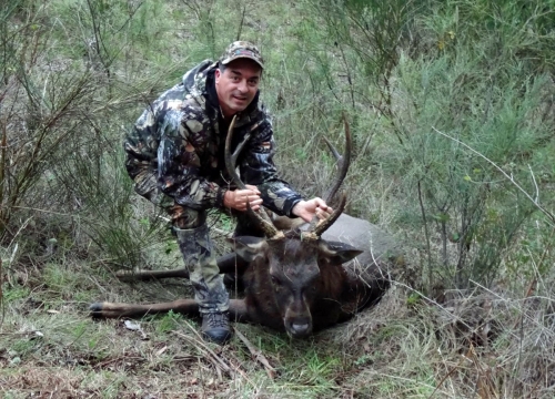 Dominic Stivala - Sambar Deer Success Story