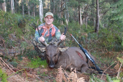 Edward Malone - Sambar Deer Success Story