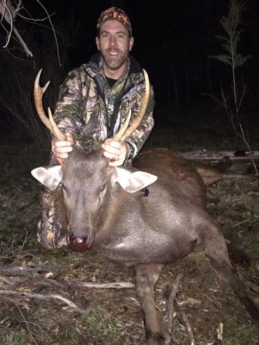 Michael Mann - Sambar Deer Success Story