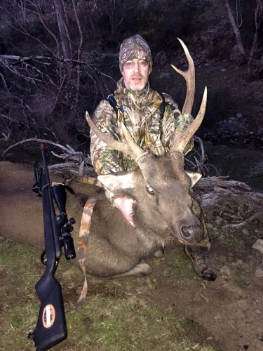 Michael Mann - Sambar Deer Success Story