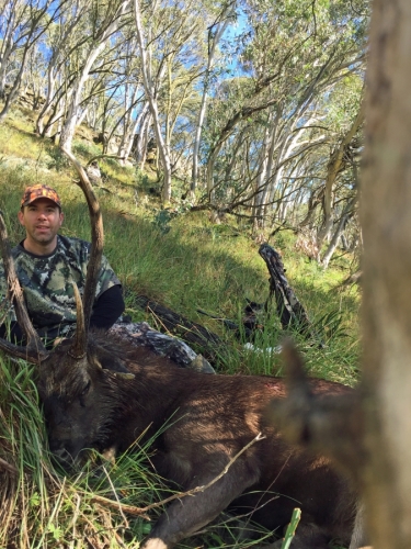 Michael Mann / Mark Brown - Sambar Deer Success Story