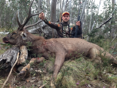 Joe Mangan - Sambar Deer Success Story