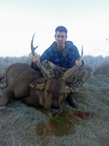 Michael Pritchard - Sambar Deer Success Story