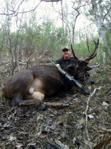 Sam Van Assche - Sambar Deer Success Story