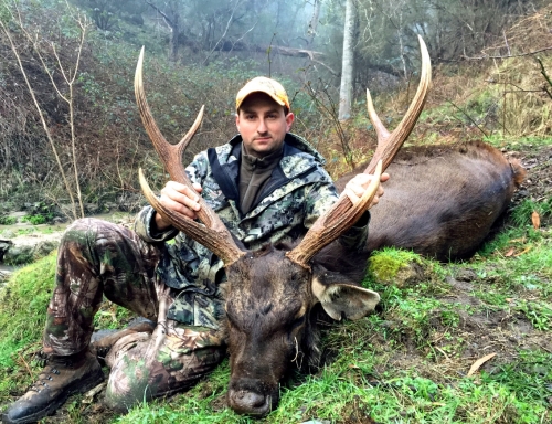 Shane Robinson - Sambar Deer Success Story