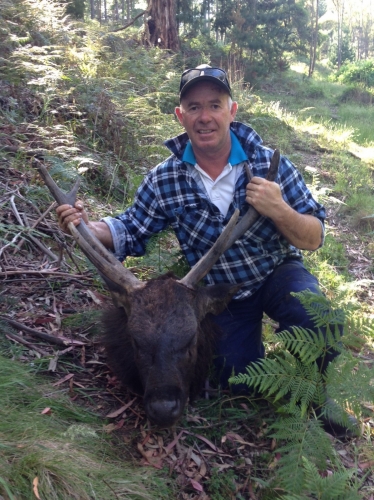 Tony Quinnell - Sambar Deer Success Story