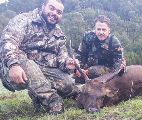 Tory Bird - Sambar Deer Success Story