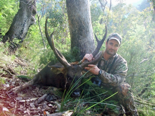 Adam Riddle - Sambar Deer Success Story