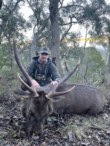 Blake Harris - Sambar Deer Success Story