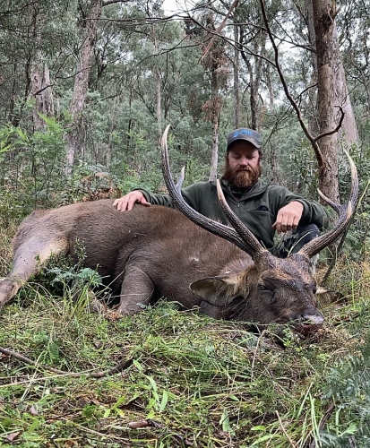 Cameron Tull - Sambar Deer Success Story