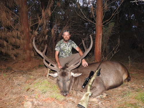 Clint Collings - Sambar Deer Success Story
