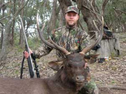 Chris Mills - Sambar Deer Success Story