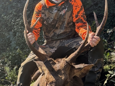 Daniel Meyland - Sambar Deer Success Story