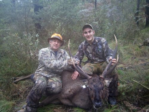 David Clarke - Sambar Deer Success Story