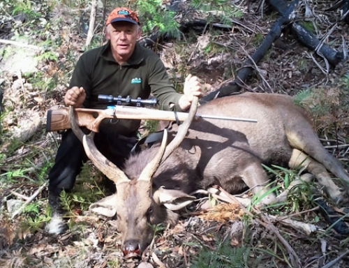 David Davies - Sambar Deer Success Story