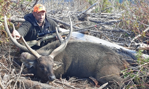 Dean Karlis - Sambar Deer Success Story