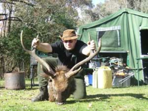 Dale Wesley - Sambar Deer Success Story