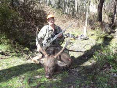 Robert Brumby - Sambar Deer Success Story