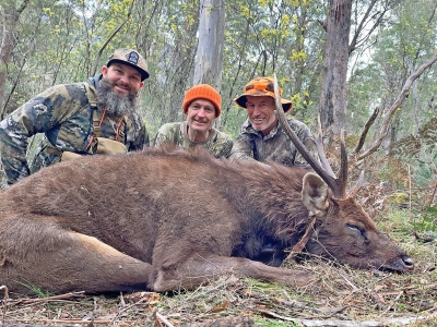 Gerard Schick - Sambar Deer Success Story