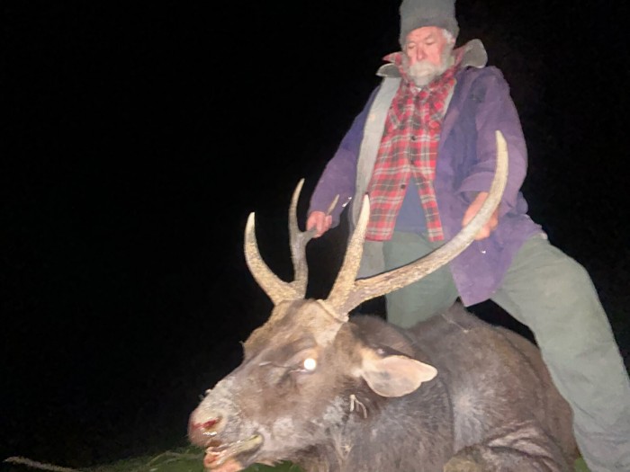Ian Greenwood - Sambar Deer Success Story