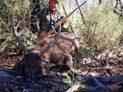 Mark Rhode - Sambar Deer Success Story