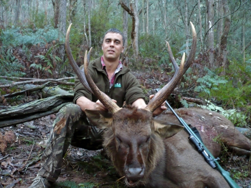 Paul Giltrap - Sambar Deer Success Story