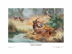 Indian Sambar (Limited Edition Print)