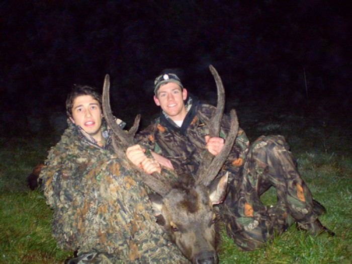 Sam Van Assche - Sambar Deer Success Story