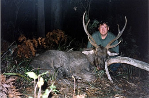 Errol Mason - Sambar Deer Success Story