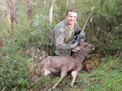 Shane Costello - Sambar Deer Success Story