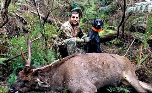 Steve Motta - Sambar Deer Success Story