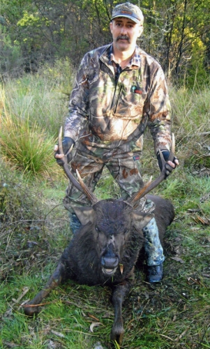 Leon Alexander - Sambar Deer Success Story