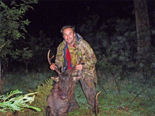 Luke Neesham - Sambar Deer Success Story