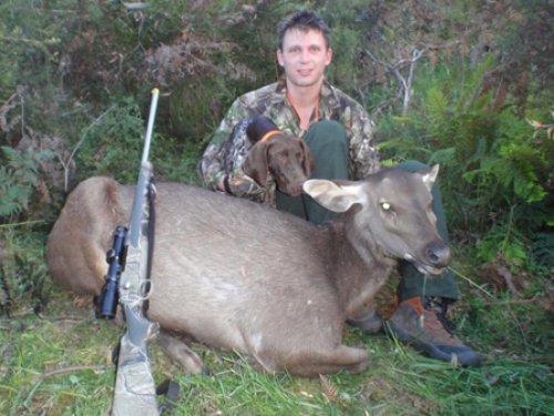 Nathan Grimes - Sambar Deer Success Story