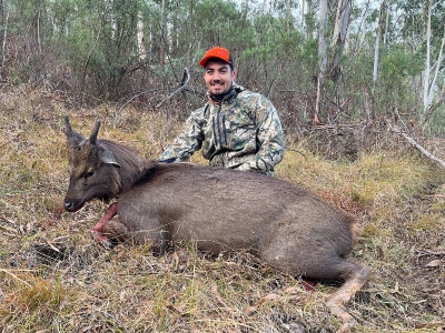 Tyson Bailey - Sambar Deer Success Story