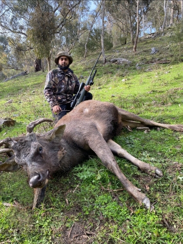 Walid Issa - Sambar Deer Success Story